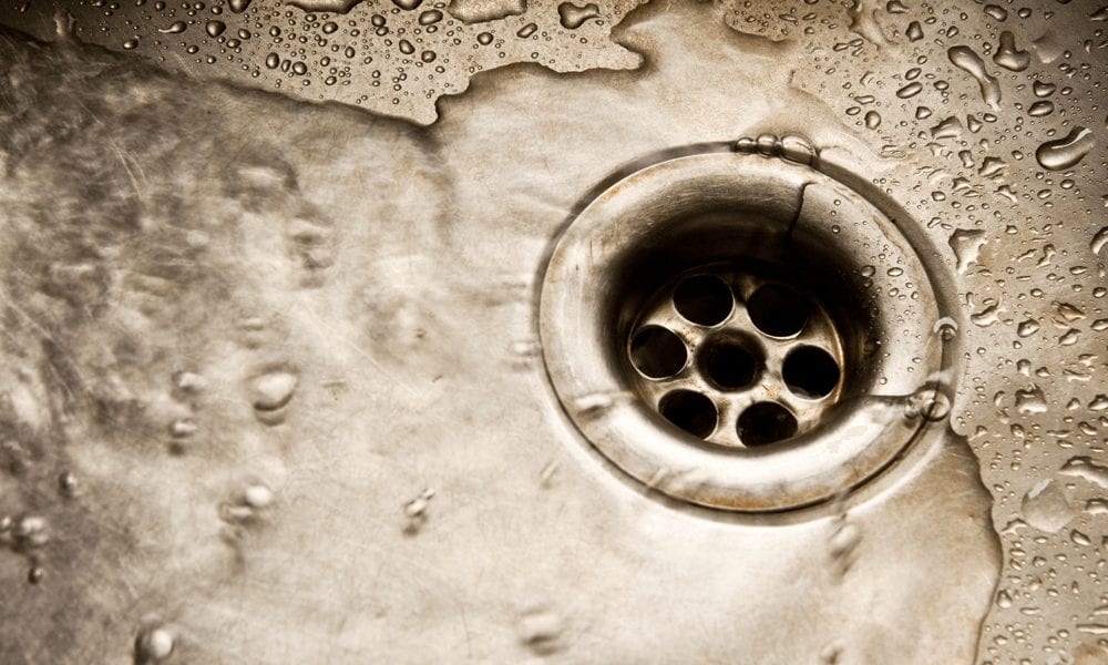 7 Dirty Things In Your Home You Should Clean (and Why) Drain Image