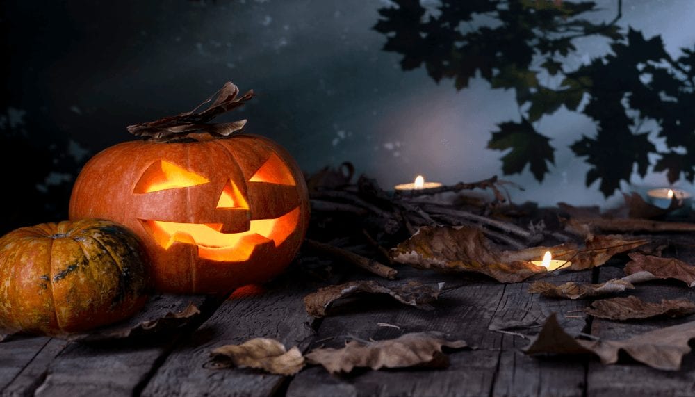 Halloween 2019: Fun and Freaky Events Happening Around Edmonton Pumpkin Image