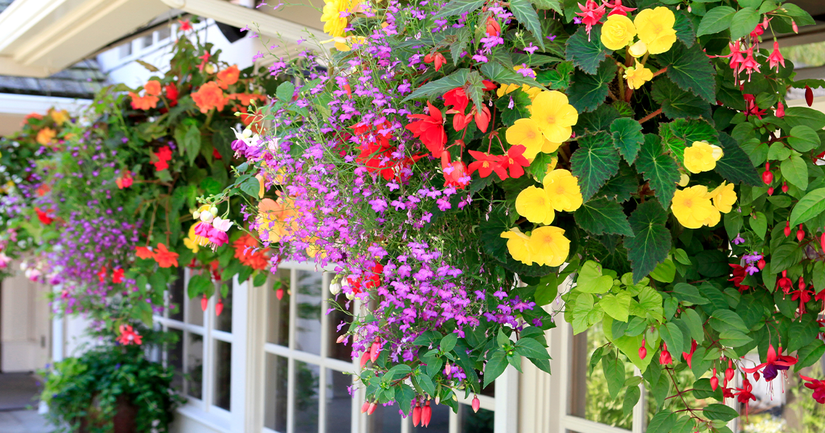 Budget-Friendly Backyard Ideas You’re Sure to Love Flowers Image