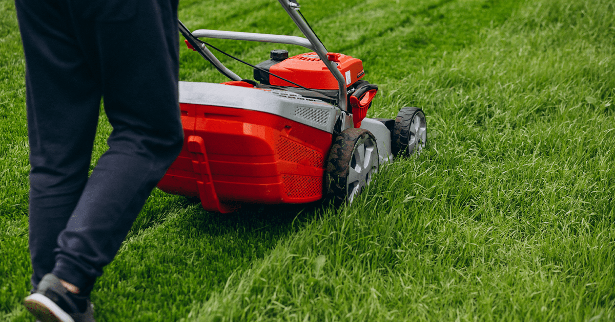 Budget-Friendly Backyard Ideas You’re Sure to Love Lawn Care Image