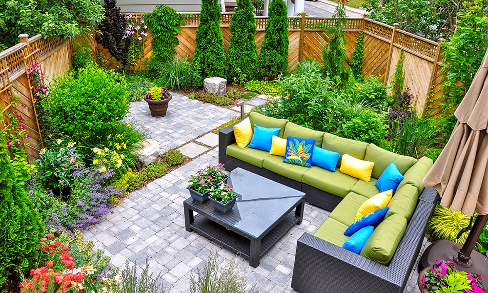 backyard landscaping on a budget