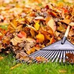 12 Essential Home Maintenance Tips For This Fall Main Image