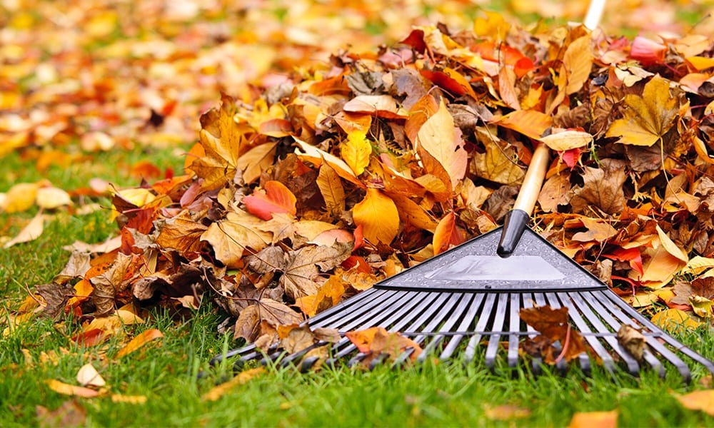 12 Essential Home Maintenance Tips For This Fall Main Image