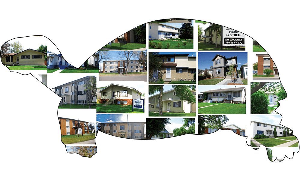 8 Habits of Successful Real Estate Investors Turtle Image