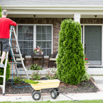 7 Outdoor (and Indoor) Home Maintenance Tips For This Spring Featured Image