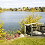 Edmonton Community Spotlight: Beaumaris in Northwest Edmonton Featured Image