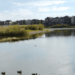 Edmonton Community Spotlight: Schonsee in Northeast Edmonton Featured Image