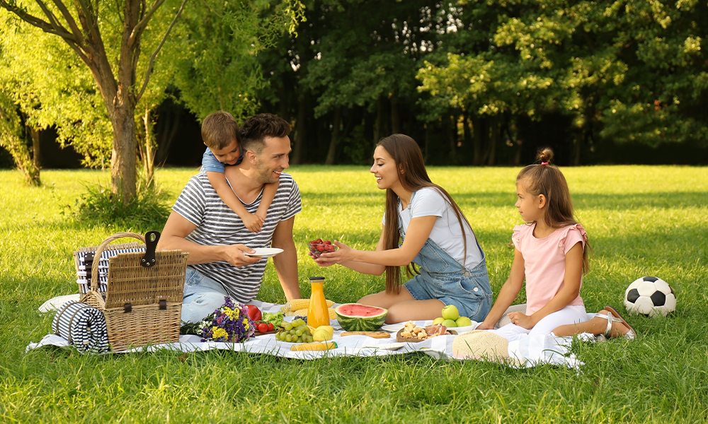 Edmonton Community Spotlight: Oxford in Northwest Edmonton Picnic Image