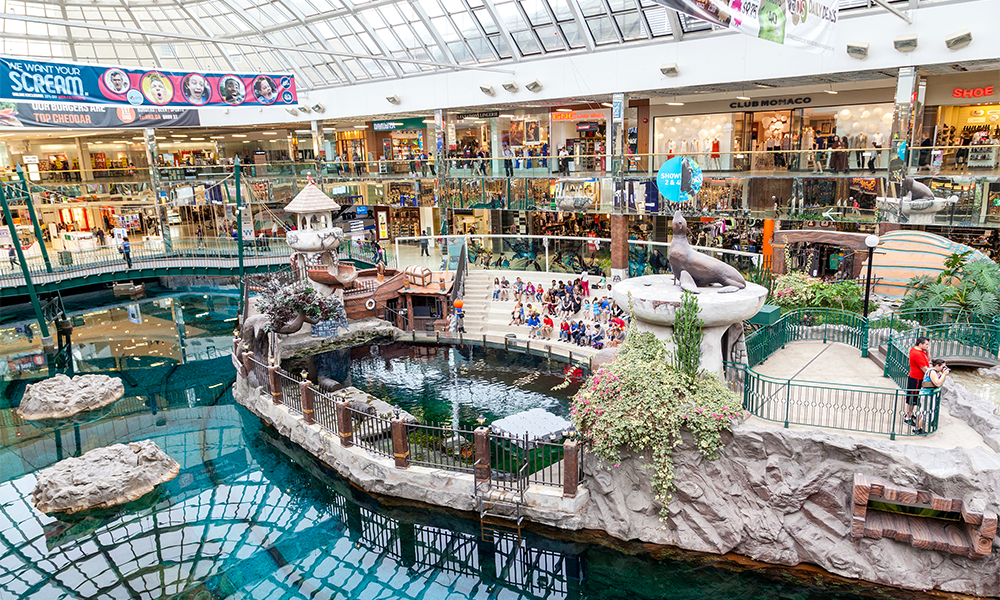 Edmonton Community Spotlight: Summerlea in West Edmonton Mall Image