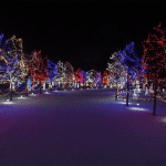 Christmas 2021: Fun and Festive Events Happening Around Edmonton Featured Image