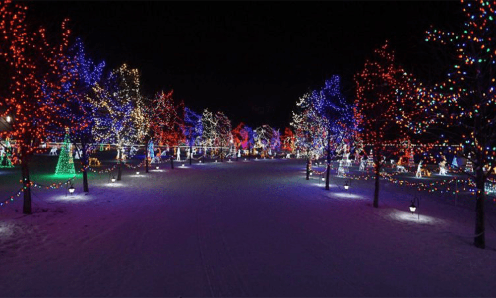 Christmas 2021: Fun and Festive Events Happening Around Edmonton Featured Image