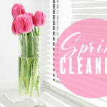 Spring Cleaning Featured Image