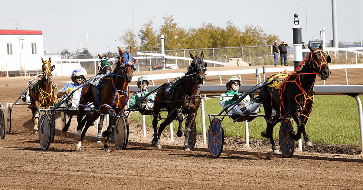 Community Spotlight: Blackmud Creek in Southwest Edmonton Race Track Image